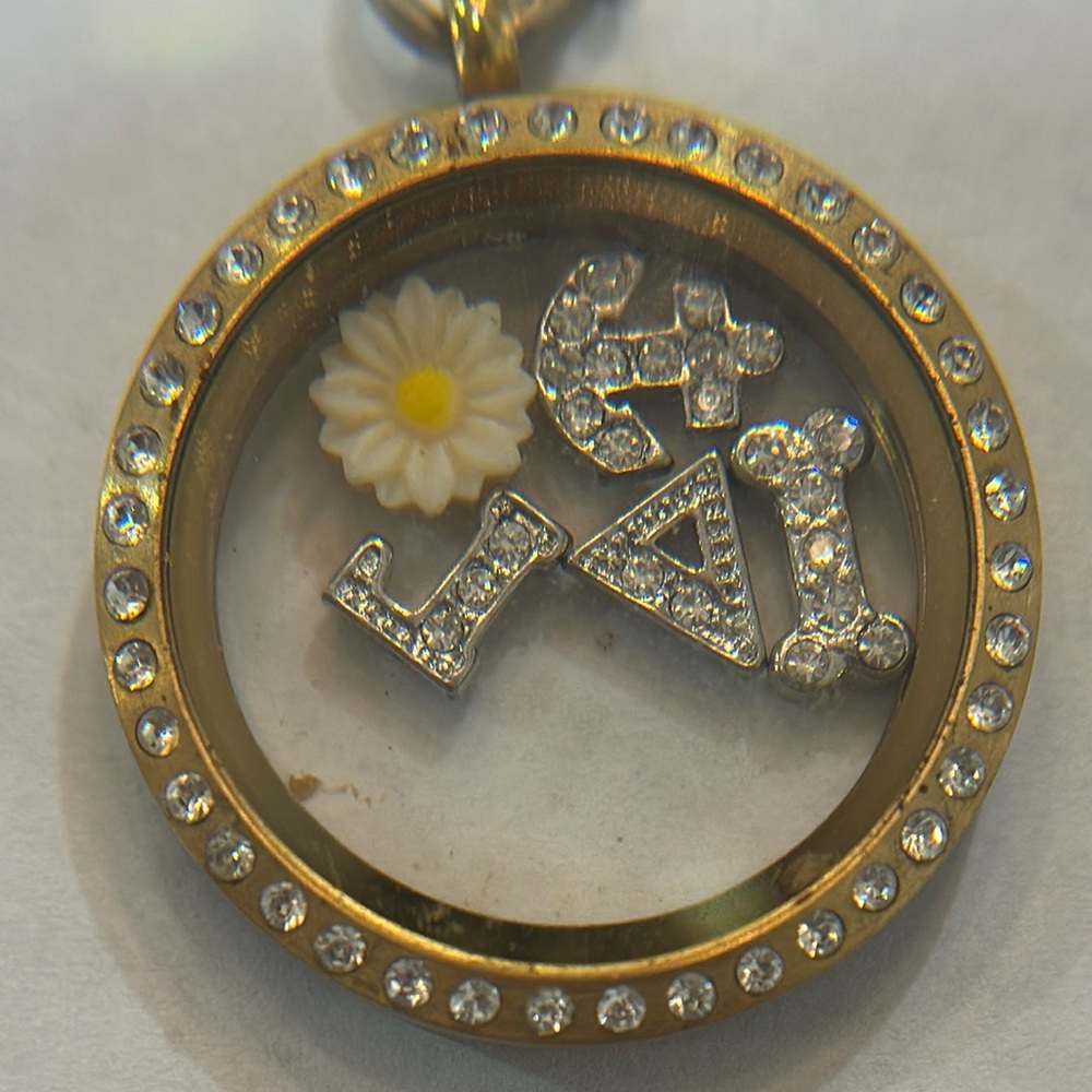 Delta‎ Gamma DG  ORIGAMI OWL GOLD NECKLACE DG PENDANT DELTA GAMMA W/5 CHARMS